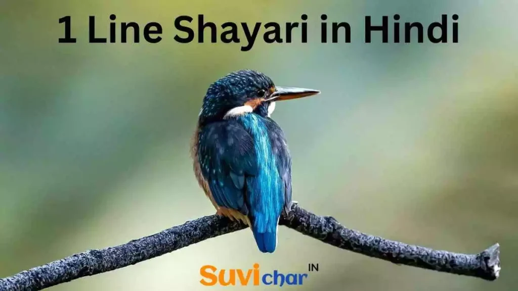 1 Line Shayari in Hindi
