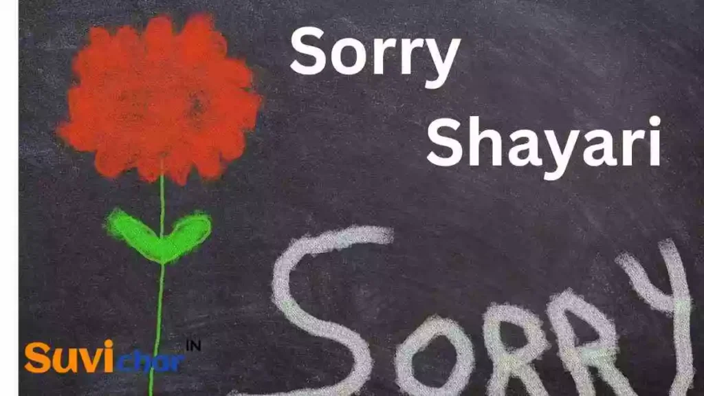 Sorry Shayari