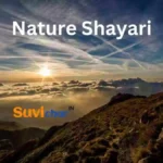 Best 115+ Nature Shayari | प्रक्रति की सुन्दरता पर शायरी (2024) Nature Shayari