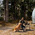 How to Improve Solar Panel Efficiency With Placement? How to Improve Solar Panel Efficiency With Placement?