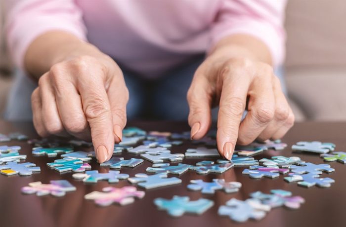 What Makes Puzzle Games Engaging Over Time