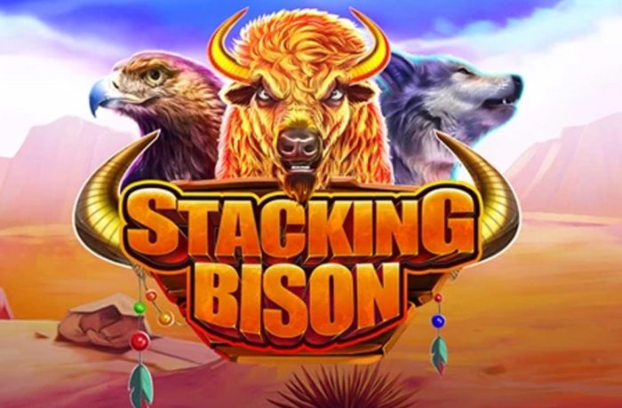 How Hold and Win Slots Work at Bison Casino